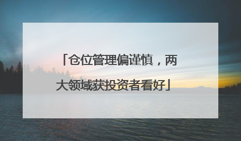 仓位管理偏谨慎，两大领域获投资者看好
