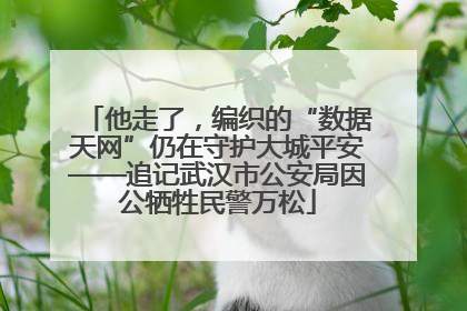 他走了，编织的“数据天网”仍在守护大城平安——追记武汉市公安局因公牺牲民警万松