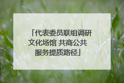 代表委员联组调研文化场馆 共商公共服务提质路径