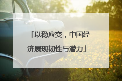 以稳应变，中国经济展现韧性与潜力