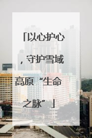以心护心，守护雪域高原“生命之脉”