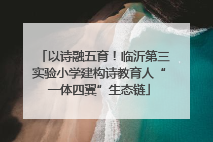 以诗融五育！临沂第三实验小学建构诗教育人“一体四翼”生态链