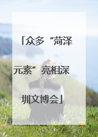 众多“菏泽元素”亮相深圳文博会
