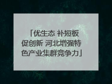优生态 补短板 促创新 河北增强特色产业集群竞争力