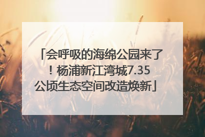 会呼吸的海绵公园来了！杨浦新江湾城7.35公顷生态空间改造焕新