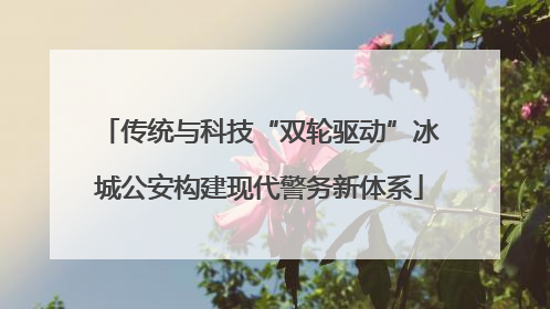 传统与科技“双轮驱动”冰城公安构建现代警务新体系