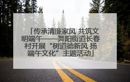 传承清廉家风 共筑文明端午——舞阳街道长春村开展“树道德新风 扬端午文化”主题活动