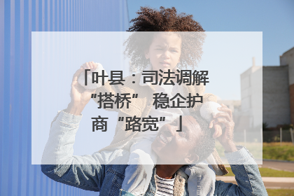 叶县：司法调解“搭桥” 稳企护商“路宽”