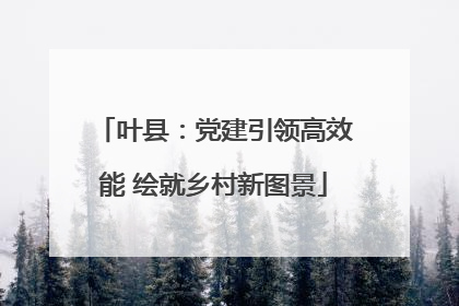 叶县：党建引领高效能 绘就乡村新图景