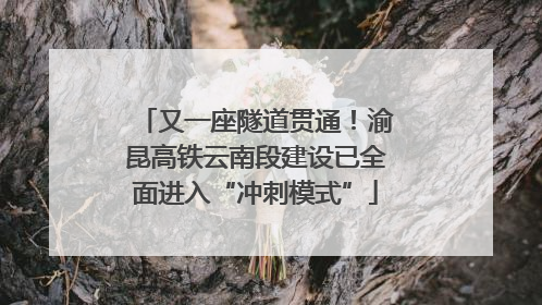 又一座隧道贯通！渝昆高铁云南段建设已全面进入“冲刺模式”