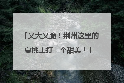 又大又脆！荆州这里的夏桃主打一个甜美！