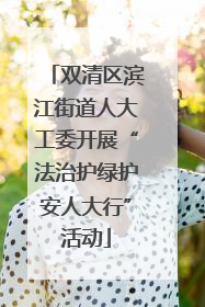 双清区滨江街道人大工委开展“法治护绿护安人大行”活动