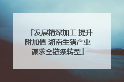 发展精深加工 提升附加值 湖南生猪产业谋求全链条转型