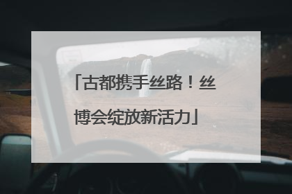 古都携手丝路！丝博会绽放新活力