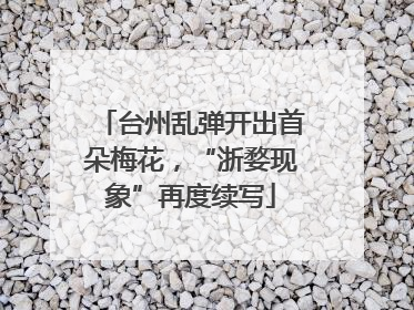 台州乱弹开出首朵梅花，“浙婺现象”再度续写