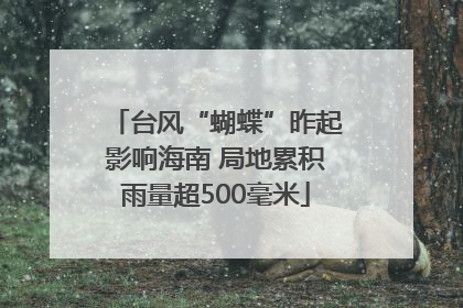台风“蝴蝶”昨起影响海南 局地累积雨量超500毫米