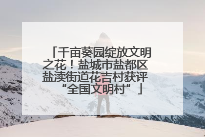 千亩葵园绽放文明之花！盐城市盐都区盐渎街道花吉村获评“全国文明村”