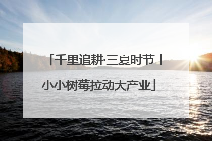 千里追耕·三夏时节丨小小树莓拉动大产业