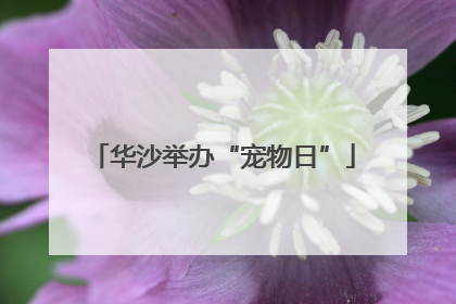 华沙举办“宠物日”