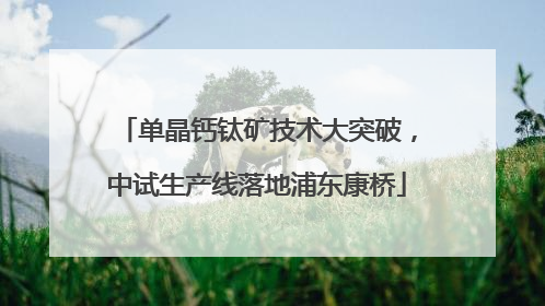 单晶钙钛矿技术大突破，中试生产线落地浦东康桥