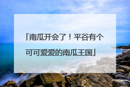 南瓜开会了！平谷有个可可爱爱的南瓜王国