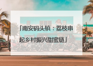 南安码头镇：荔枝串起乡村振兴甜蜜链