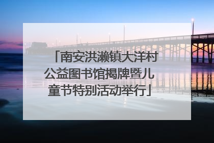 南安洪濑镇大洋村公益图书馆揭牌暨儿童节特别活动举行