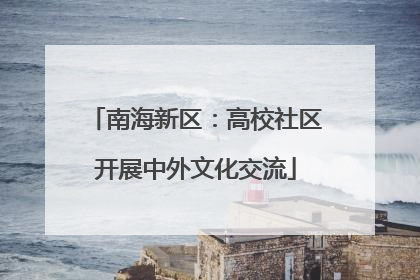 南海新区：高校社区开展中外文化交流