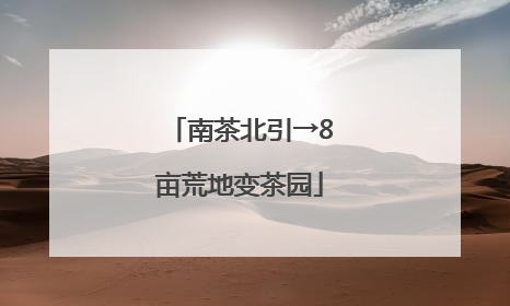 南茶北引→8亩荒地变茶园