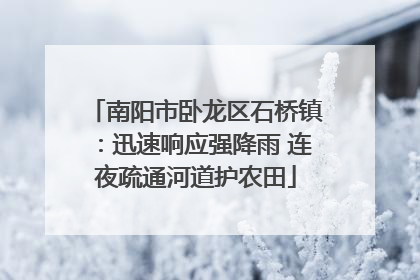 南阳市卧龙区石桥镇：迅速响应强降雨 连夜疏通河道护农田