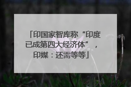 印国家智库称“印度已成第四大经济体”，印媒：还需等等