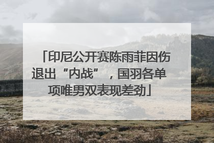 印尼公开赛陈雨菲因伤退出“内战”，国羽各单项唯男双表现差劲