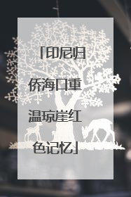 印尼归侨海口重温琼崖红色记忆