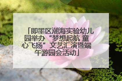 即墨区潮海实验幼儿园举办“梦想起航 童心飞扬”文艺汇演暨端午游园会活动