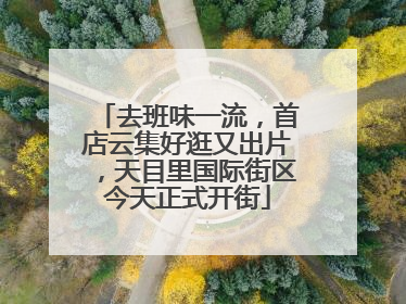 去班味一流，首店云集好逛又出片，天目里国际街区今天正式开街