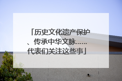 历史文化遗产保护、传承中华文脉……代表们关注这些事