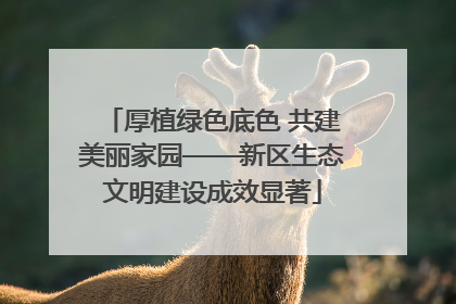 厚植绿色底色 共建美丽家园——新区生态文明建设成效显著