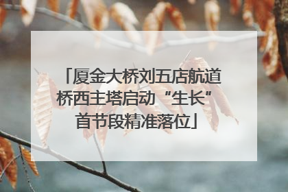 厦金大桥刘五店航道桥西主塔启动“生长” 首节段精准落位