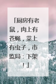 厨房有老鼠，肉上有苍蝇，菜上有虫子，市监局：下架！