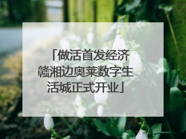 做活首发经济 赣湘边奥莱数字生活城正式开业