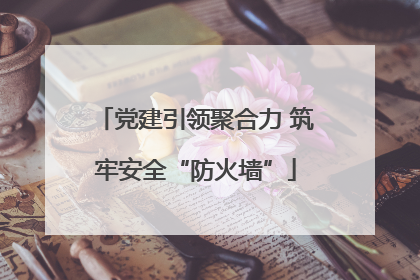 党建引领聚合力 筑牢安全“防火墙”