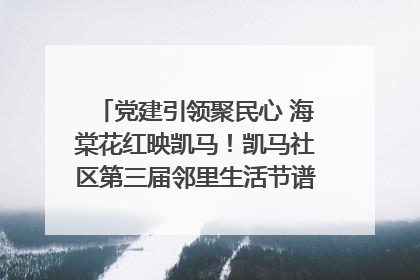 党建引领聚民心 海棠花红映凯马！凯马社区第三届邻里生活节谱写幸福新篇章