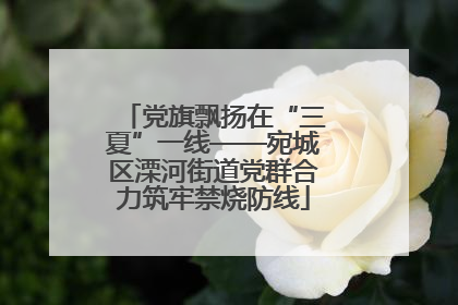 党旗飘扬在“三夏”一线——宛城区溧河街道党群合力筑牢禁烧防线