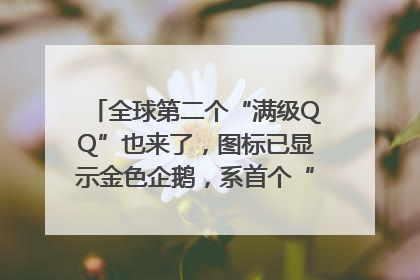全球第二个“满级QQ”也来了，图标已显示金色企鹅，系首个“满级QQ”的小号