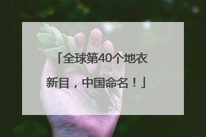 全球第40个地衣新目，中国命名！