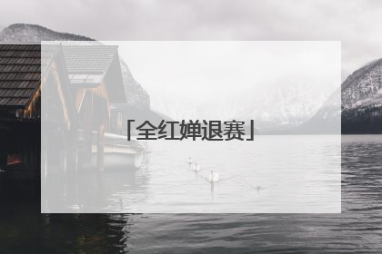 全红婵退赛
