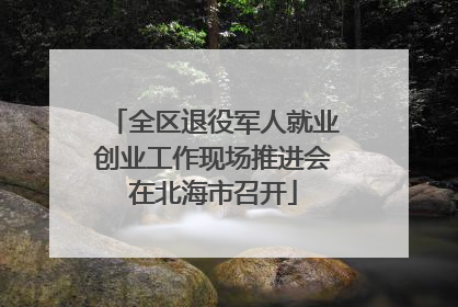全区退役军人就业创业工作现场推进会在北海市召开