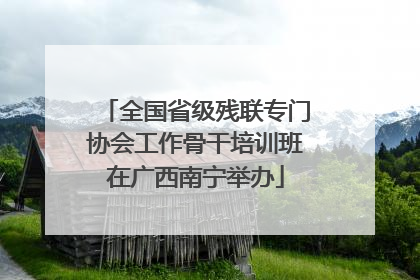 全国省级残联专门协会工作骨干培训班在广西南宁举办