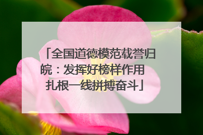全国道德模范载誉归皖：发挥好榜样作用 扎根一线拼搏奋斗