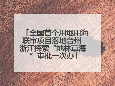 全国首个用地用海联审项目落地台州 浙江探索“地林草海”审批一次办